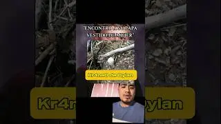 El caso de dylan redwine #misterio #paranormal #shortvideos #casosycosas