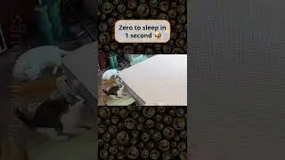 Zero to Sleep in 1 Second
