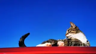 What Can I Say - Original Song