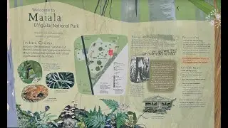 Maiala Australian Bush Walking Hiking Sounds NR ASMR