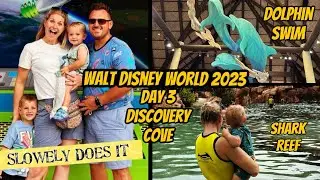 Walt Disney World 2023 DAY 3 | DISCOVERY COVE | DOLPHIN SWIM | SHARK REEF | ALL THE FOOD | August 23