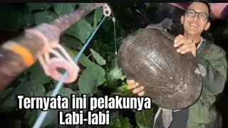 Straikk labi labi besar sehabis hujan