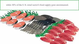 foodpulse - Food Discovery App (2 Min)