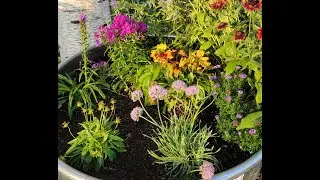 Zone 5 Perennial flowers, All Season Color!