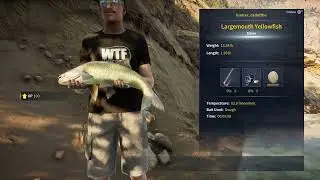 Finalllllllyyyyyyy! Diamond Largemouth YellowFish!