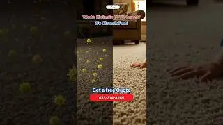 Your Carpet Needs a Rescue! 🧼 | Colorado&rsquo;s Eco-Friendly Carpet Cleaning Experts