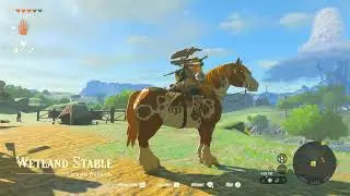 Zelda, Captain Hoz