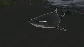 Let's Play Stranded Deep ft Cole 