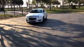 IMG 1141