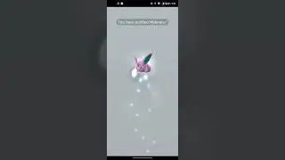 purifying shadow Pokemon part-1. #pokemongo #pokemon #pikachu #shadowpokemon