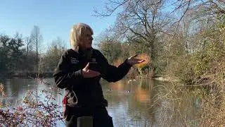Interview with a Park Ranger: What work do you do on a day to day basis?