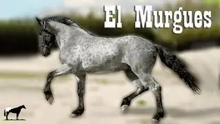 El Caballo Murgues 🐴-Del Cerro Soy