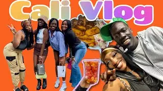 Los Angeles Vlog!!: Birthdays, Hiking & Afrobeats (MET FOGGIERAW!!)