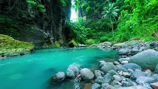 Relaxing River Sounds for Sleep Meditation Gentle Water Ambience for Deep Rest and Relaxation