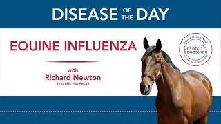 EHW22: Disease of the Day &ndash; Equine influenza