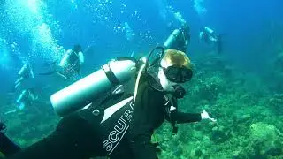 Wall Dive in Roatan, Honduras - SCUBA