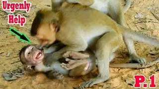 Breaking Heart Because No Mum Baby Carlino Was Kidnapper Hard  | Pity Poor Orphan Boy Cry Deep Hurt