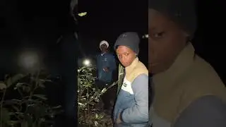 ଭୁତର ଭୟ