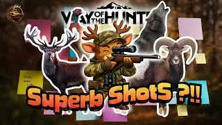 Made my BEST shot ever in Transylvania! | Way of the Hunter
