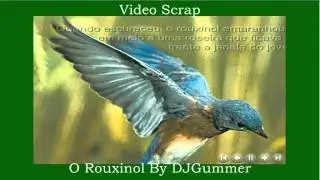 O Rouxinol By DJGummer  VIDEO SCRAP