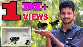 മുട്ട വിരിയിക്കുന്ന പെട്ടി ഉണ്ടാക്കാം !!! How To Make An Incubator At Home | Tool Maker