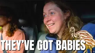Philly & Keely Being Blown Away By Australia | Aussie Reaction