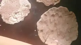 የጤፍ ዱቄት ጨጨብሳ(how to make chechebsa using teff flour )