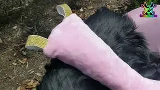 Custom Fursuit Dragon Tail