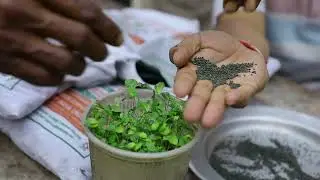 The Jute Corporation of India Limited | Jute I-CARE Advertisement in Bengali