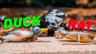 Baby Duck Vs. Rat Lure Fishing Challenge