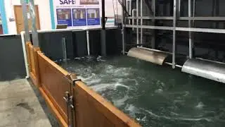 M3FLOODTEC Timber Flood Gates