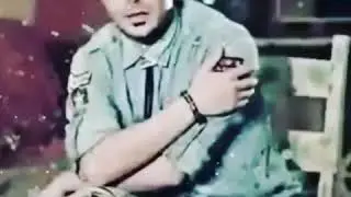 Islam zaxoy2019