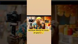 Monkesh Bhaiya Eats Spicy Panipuri 🌶️😂 | Funny Street Food Shorts #aimonkey #monkesh