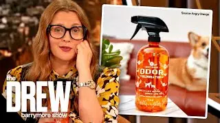 This Is Drew's Favorite Spray for Pet Accidents | Drew's Little Yellow Book