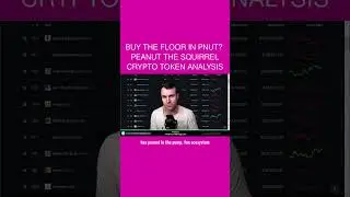 Buy The Floor In PNUT? 🤔 Peanut the Squirrel Crypto Token Analysis