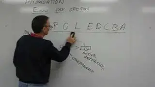 Attenuation in the trp operon, part 1