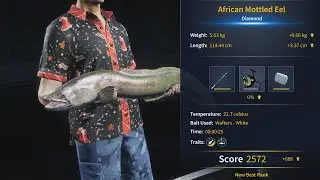 CotW The Angler-Izilo Zasendulo(2024)-African Mottled Eel(Diamond)