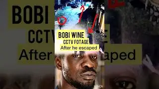 Bobi wine today