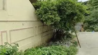 #kushaiguda #kapra Dmart backside 50lakhs independent house for sale 186sqds East facing!!!