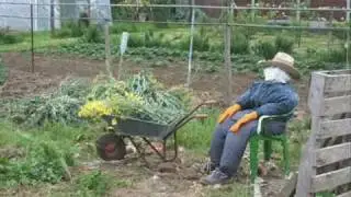 The Land Song