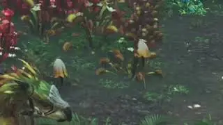 [MHWilds] A Short Report on Mimiphyta