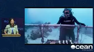 Ocean Optimism in Action: Success Stories and Strategies for Marine Conservation