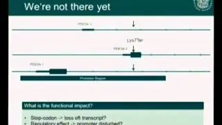 Common and rare genetic variants for risk of coronary heart disease