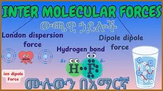 Intermolecular Forces ሙሉ ማብራሪያ- በ 6 ደቂቃ ብቻ፤ በጣም ቀላል