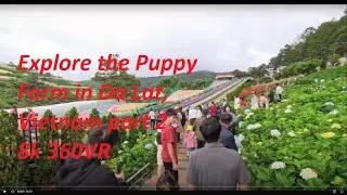 Explore the Puppy Farm in Da Lat, Vietnam part 2