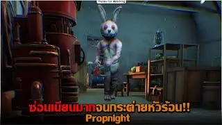ซ่อนเนียนมากจนกระต่ายหัวร้อน Propnight