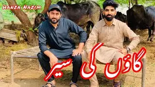 Faisalabad Village Life | Punjab Fieds | Village Life in Pak