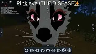 my friend names my morphs in warrior cats.... GONE WRONG ✨
