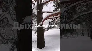 зимний вальс
