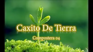Los arboles, los guardianes de la #Compostera